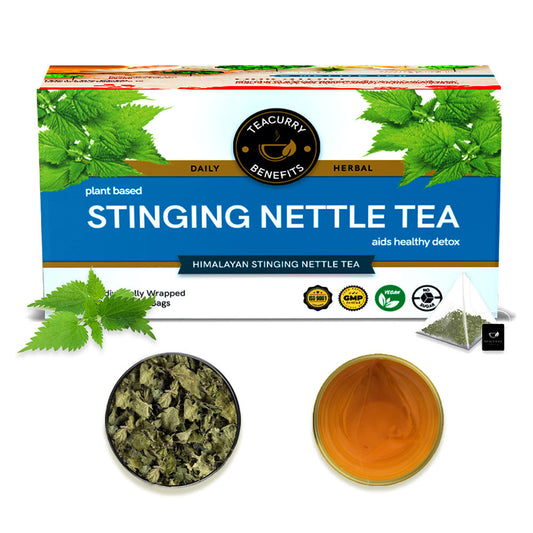 Stinging Nettle Tea (1 Month Pack | 30 Tea Bags) - Helps with Kidney Detox